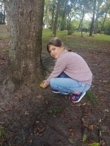 00b9d2ab-1ceb-43da-82f1-11d03040b4a2