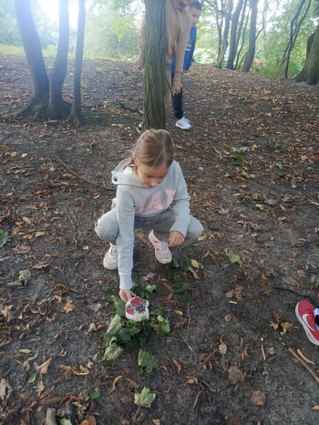 61e1130c-03ee-459d-8169-50d8e00dc540