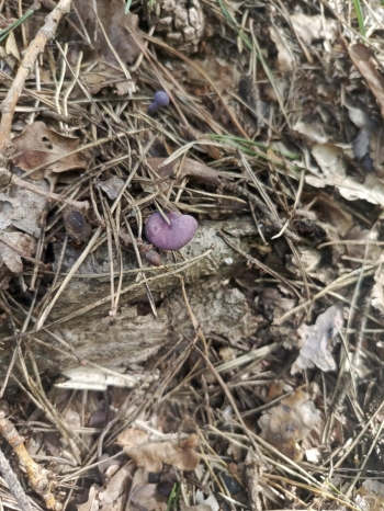 269717a2-fa7f-4252-971f-2ed39ffec5d2