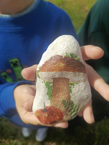 29415624-b404-4663-89b5-54609316877c