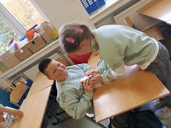 b20af1ea-8c4f-4f91-8e0b-c1e6f8a042cd