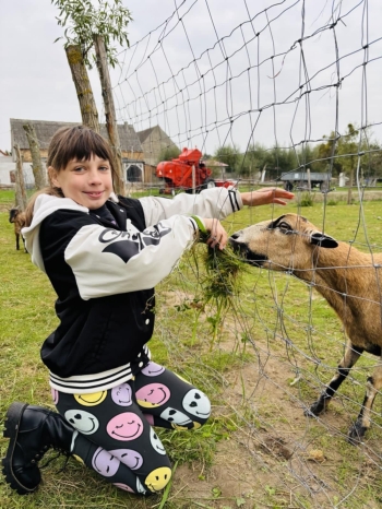 3d13f1a9-5530-4f3c-8553-c844bced1d75