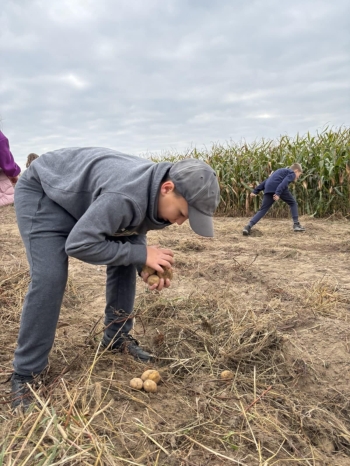 4bcc7d8e-66c4-4d00-9461-47d776589a9d