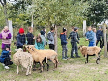 5d48ec19-0f28-4ba3-96a1-189fa04afb25