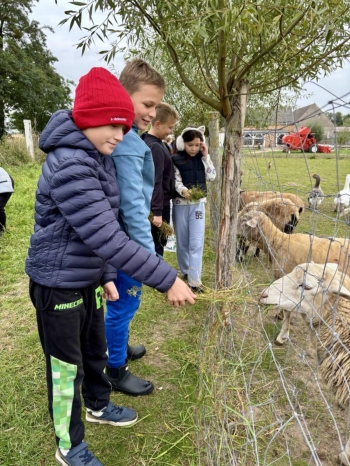 7c1a4c72-9726-412e-b058-26b5a5ef357e