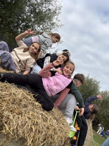 8fea9d06-4e5f-4a73-a63c-0ecf8ad0b82c