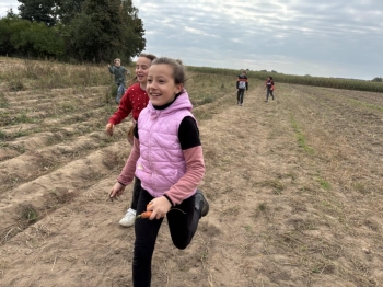 91dd1c4d-1e3f-45c3-92ee-2bdfbd4fa04e