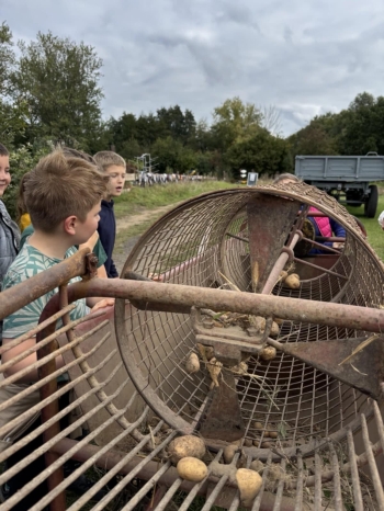 239c98e7-2826-4d49-88dc-ff26d40b845f