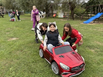 576a0e8b-81a0-4028-b93a-adcd809c8753