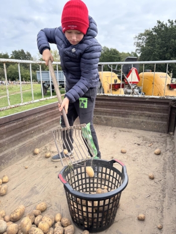 71882f13-d9e2-46aa-86cb-3f0d1a6e3105