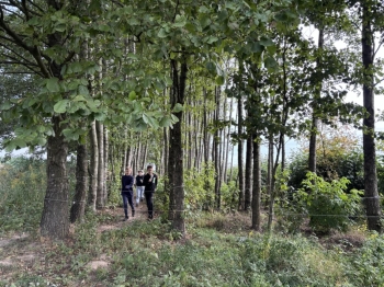 1469644d-3a12-4201-a8f0-51c5e58fa81f