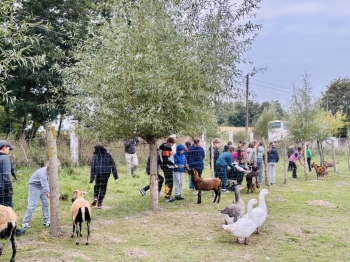 ab84a19a-84f8-45cd-a1b0-f50f1386692f