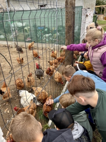 b8be388c-6aa1-4eee-adb5-9cb24de17274