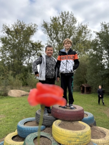 d7f9916a-c9bd-48a8-9a85-e352f5672aab