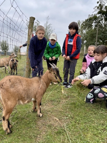 daa108fd-fba0-4e56-94c5-7906a3f569cd