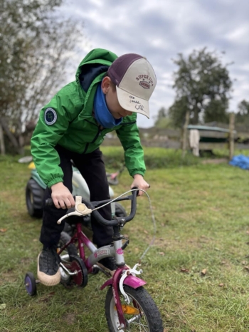 e2ca8752-398a-42dc-8b8b-f820740011d1