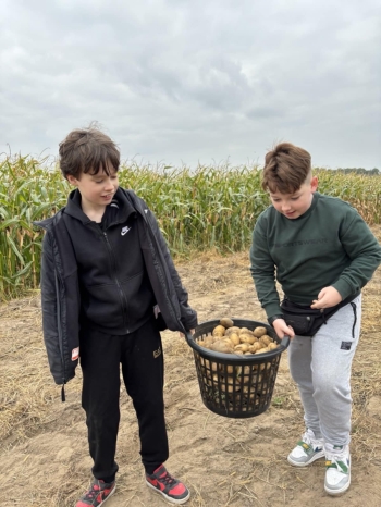 f1cf67dc-3ecd-4f38-a1be-ee18ce252ca2