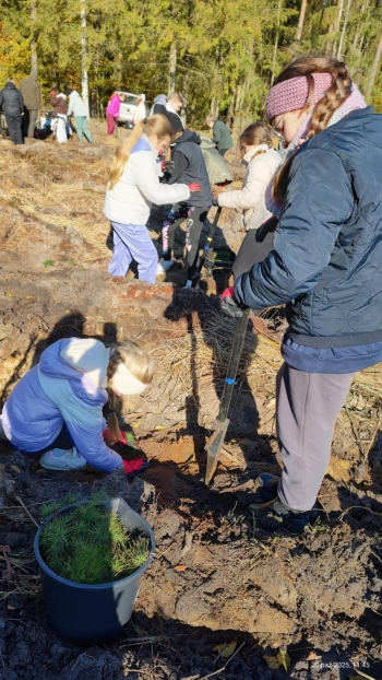 3aeabb0e-b879-4278-ab1d-feefffc2ae89