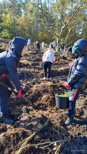 1b621e0e-e5ad-4c68-b6d3-4a54c956377d