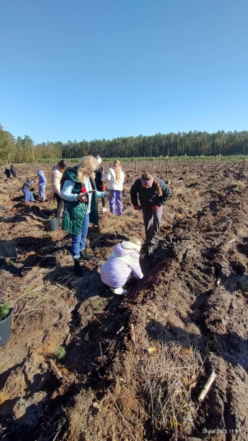 82b5e3c3-3632-4270-8cd5-aa792c38d674