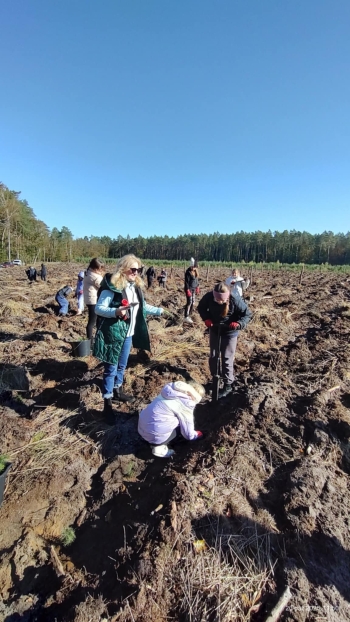 84f1b423-96e6-49d4-9b85-cafe2411694a