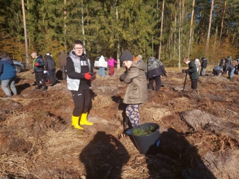 0f24edee-deb3-4206-903c-177e7b705d48 (1)