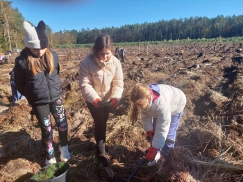 8b56caba-cea1-46ce-bb62-5b15ee97d6c0