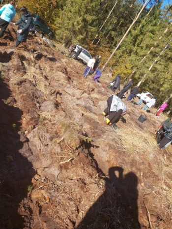 23b6f572-2a6f-4753-9dad-b8ea5c3b185f (1)