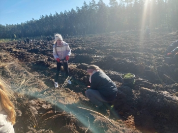 32a7ae42-61fd-40c3-9df7-f31d76d9fb60