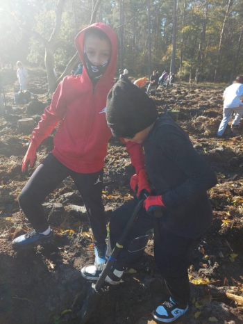 55a1aaff-cd1d-4723-80bf-dd364ad74b22