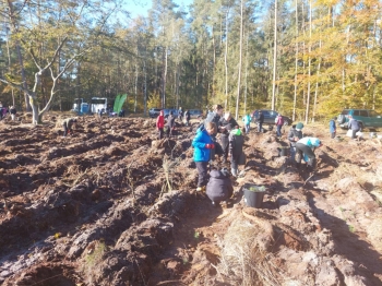 62abd670-a8c4-4dce-bdb4-9cb0f4dbe12f