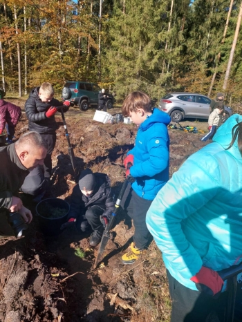 65d5ea3a-fe40-476c-b884-939998f6c011