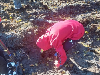 67ec4a50-5f26-4adf-bafb-980e3d0acb36