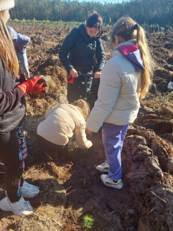 81bbfa91-8510-4858-8162-bea8bf2da8d1