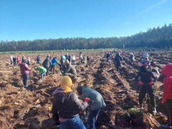 86ccfa84-5d00-4b8e-afac-ef8974b4104a