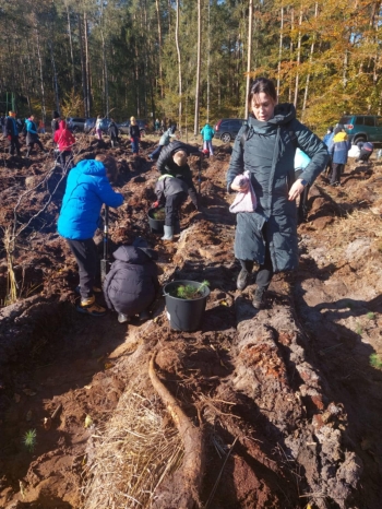 126bd4ed-e015-4b07-a24b-638bdbdd742e