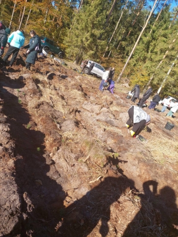 a461be7f-7173-46a4-aa88-ad3e583dfa0c (1)