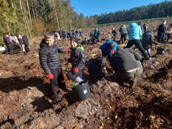 ca73e0df-4821-4914-8b9e-98ea59a0dae7