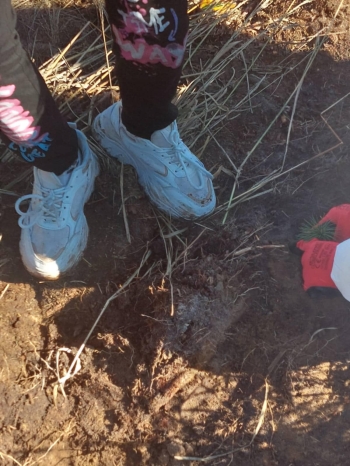 da1cd6b5-b75a-4d8d-a0ff-422da2a3cffb