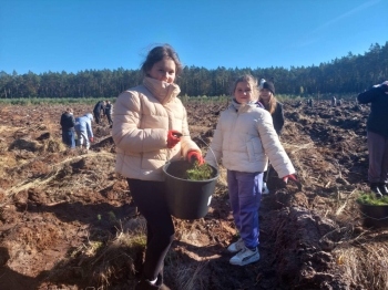 ce47f874-fb5c-4ae7-8c0b-2aaf53cb8f30