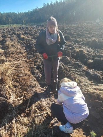 dc351a11-5390-4761-84c6-54f80d3111b9