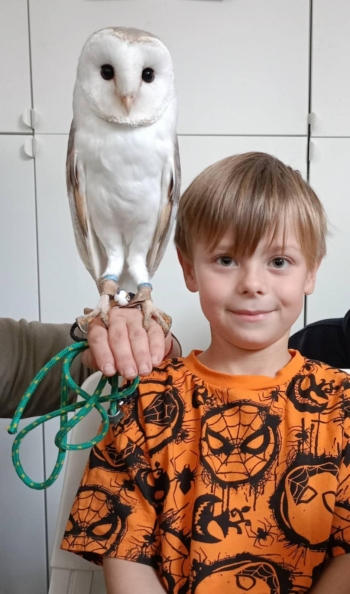 908deec3-f682-4aa7-9812-888370f9825a