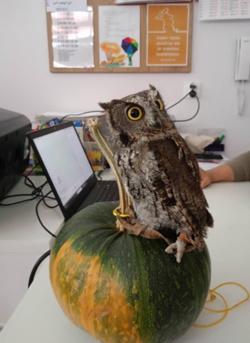 5395ab3f-e445-4fe9-b44d-31b74ce8dd07