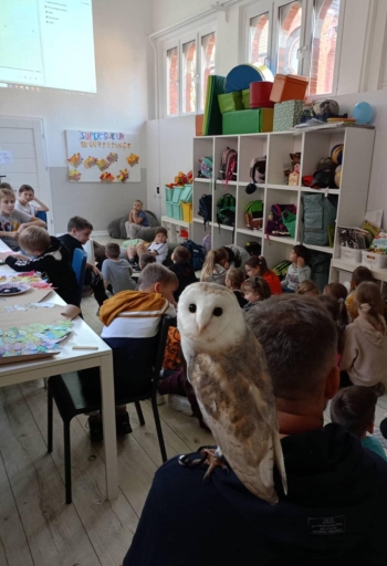 b60a1f89-6096-45d8-a6e0-bf0a6c626665