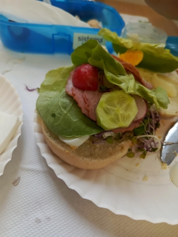 766ce120-e15c-4fa9-9a95-470aeccac774