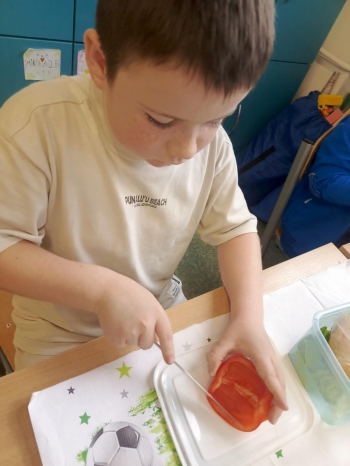 6954f7d3-58e8-4150-aba7-7ab2edaf3448