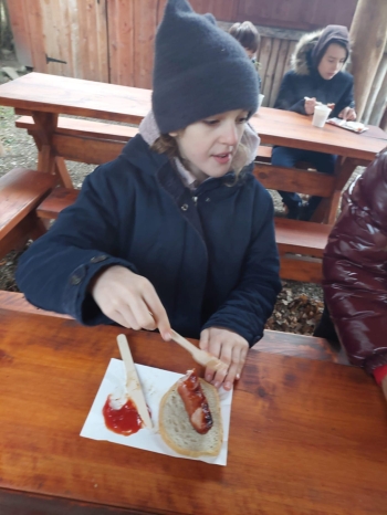 7a742891-57dc-4022-99db-5df892519524