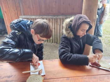 414485b4-fa1d-46c6-8bfa-351413c87932