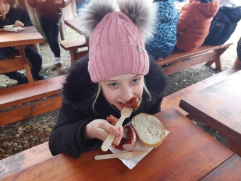 8085728a-5d9d-4ca7-96bb-a1d56ee5587a