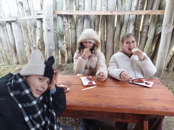 69147612-d4c9-4ae0-904d-77a7a5c0def4